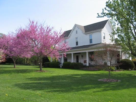 1898 Red Bud B & B