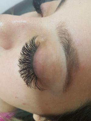 3d lashes by Daisy