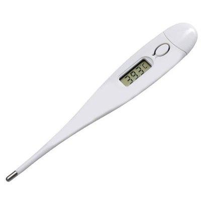 Digital Thermometer