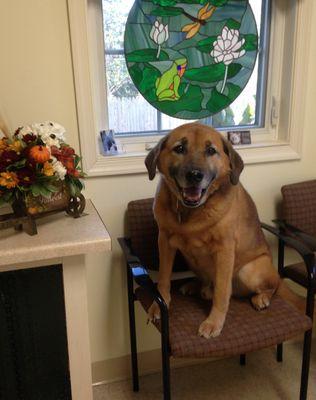 McGraw, the office dog, on his birthday