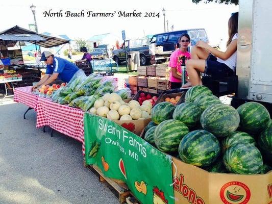 White sweet corn, strawberries, peaches, watermelon, cantaloupes and tomatoes at the North Beach Farmers' Market.  Friday nights