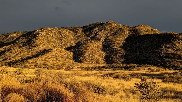 Oso Ridge (between Bear and Embudito Canyon's) at yellow hour on New Year's Day, as seen from the trailhead.