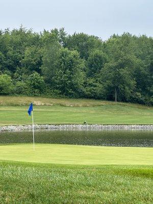 Bald eagle behind the beautiful hole and pond