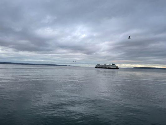 View from the N corner of the pier