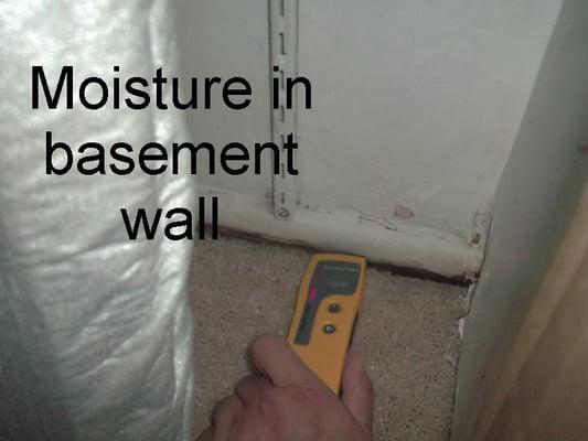 Moisture in basement