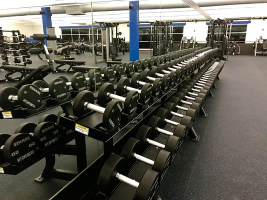 Weight room at Mills Civic Genesis