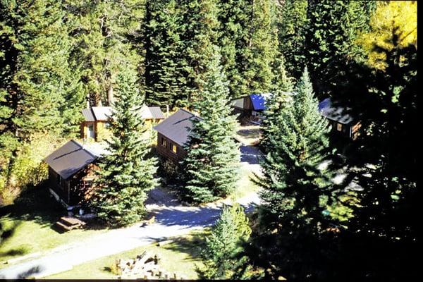 Cabins in the woods