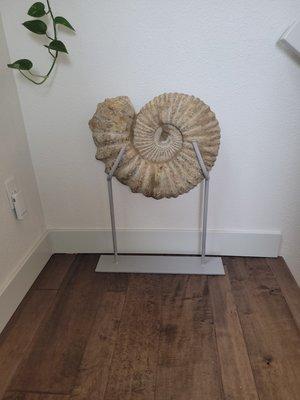 100,000,000 yr old crustation ammonite Stone and the customer wanted a custom stand to hold the stone in a safe place.