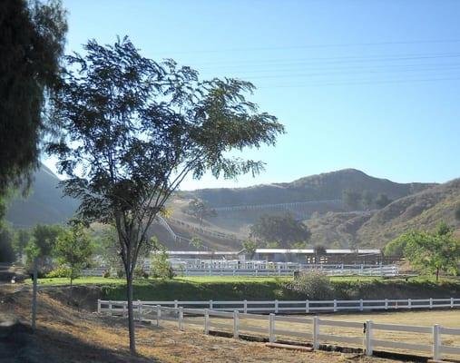 View of the arena and the surrounding areas.