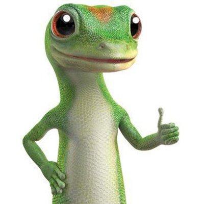 GEICO Insurance