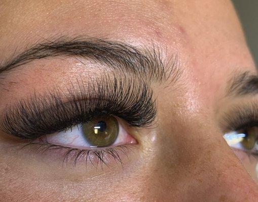 Volume lashes