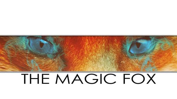 Magic Fox Graphics - Graphic Design services, web design services, digital marketing services, social media marketing services