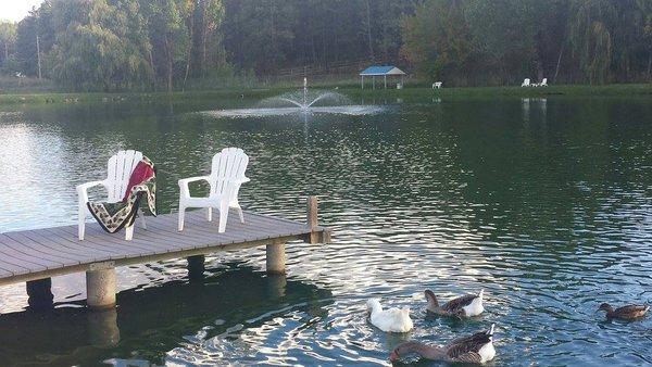 Pinetop Cottages At Freds Lake