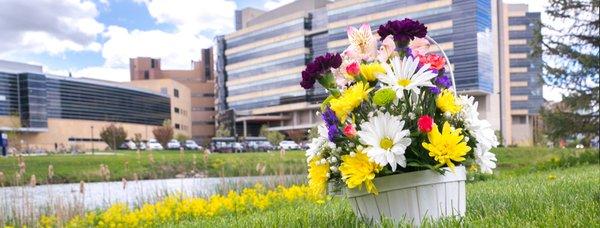 UW Carbone Cancer Center