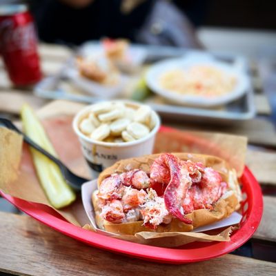 Lobster Roll and Lobster Chowder.