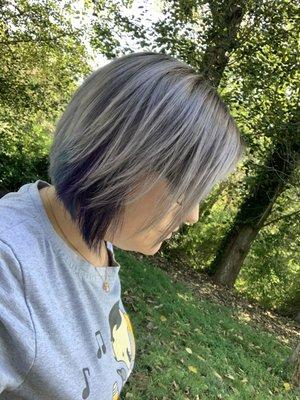 Shadow root with purple and teal peekaboos!