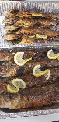 Grilled Mediterranean Branzino