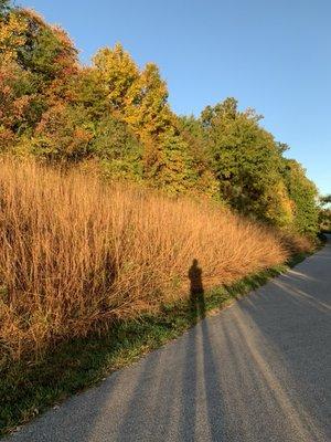 Greenway in the Autumn