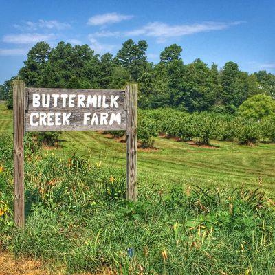 Buttermilk Creek Farm