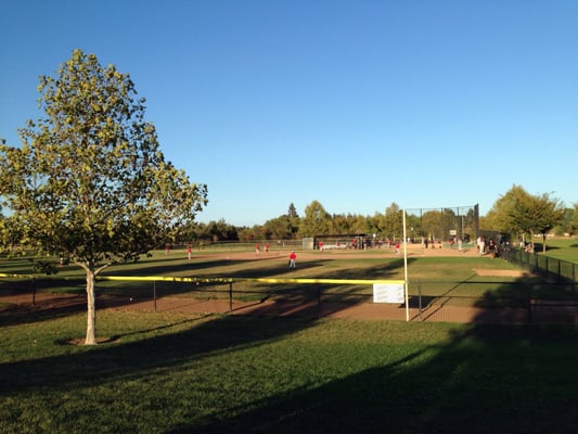 A view from the outfield.