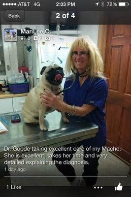 Dr. Goode at Frankford Animal Clinic, doing what she loves to do, care for your furry babies