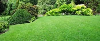 Earthly Lawn Care is one of the best lawn care providers in the area, give us a call and we'd be happy to help!