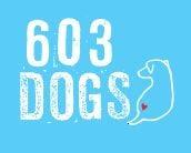 603 Dogs LLC