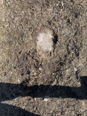 This how my Mother's grave marker looks. What a disgrace. So upsetting to all of our family. The frozen mud is about 4 inches thick.