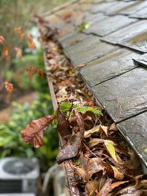 Gutter Cleaning Experts