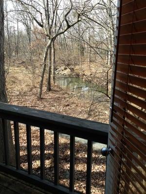 View out of office porch.   A lovely place to sit and have a cup of tea after your session!