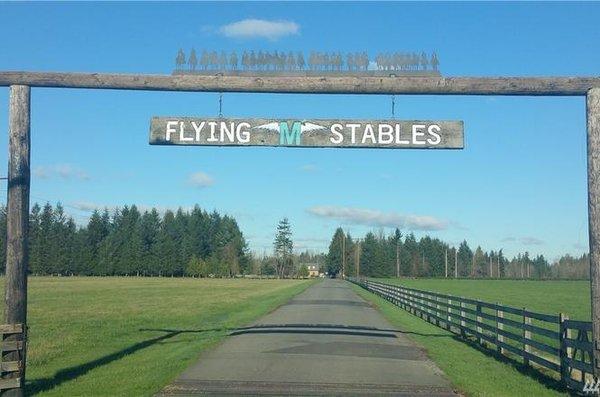 Flying M Stables