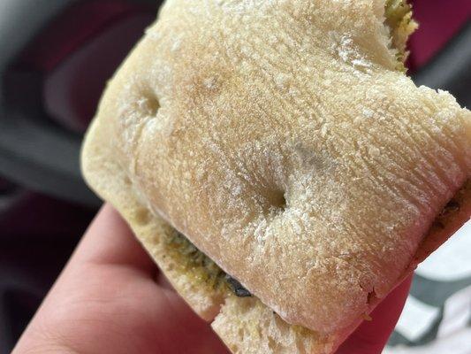 MOLDY SANDWICH!!