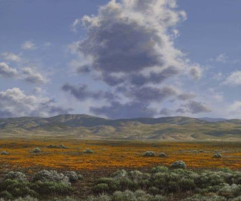 Poppy Reserve - available in Giclee