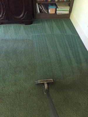 Remember what your carpets looked like when they were new?