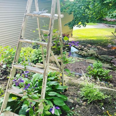 Cute vintage ladder trellis