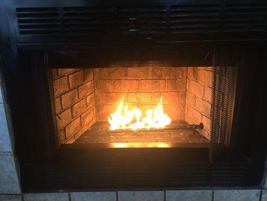 Fireplace wood burner