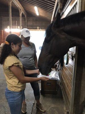 My granddaughter making horse paintings on canvas.