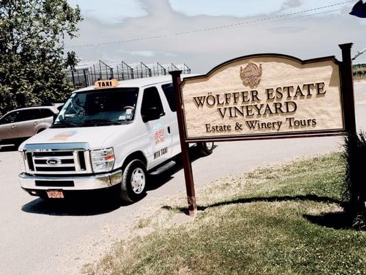 Wolffer Estate Vineyard!