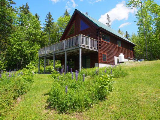 Log Chalet and Lupines