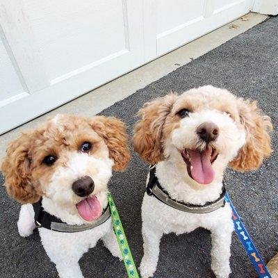 Lexi & Zoe, best sister-friends!