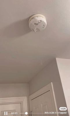 Smoke detector broken from water leaking.