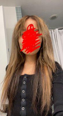 The frizzy and tangled blowout I got after asking for a straight blowout and the "curtain bangs". I had started fixing the ends on my own.