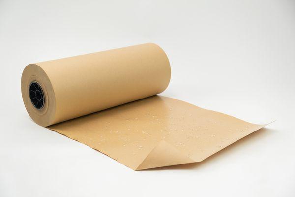 Poly Coated Paper