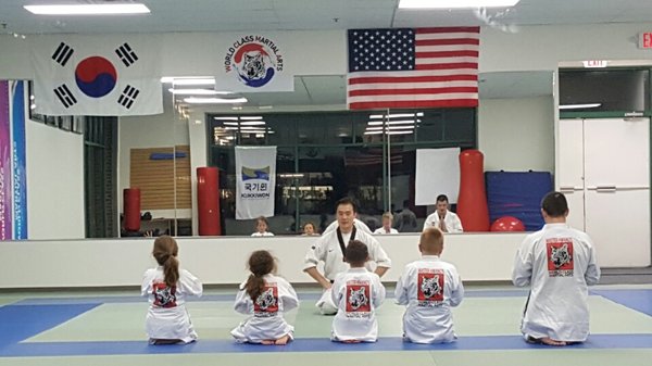 world class martial arts Tea Kwon Do class.