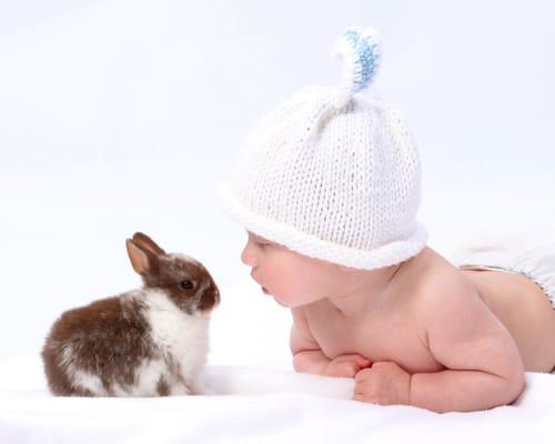 Heather House Studio Baby Photo with Bunny