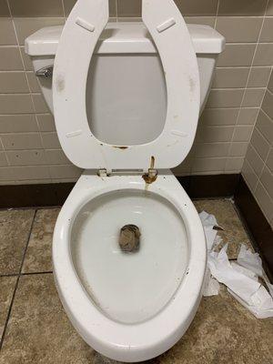 Feces on the toilet rim. Not healthy