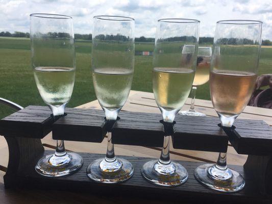 White wine flight- Riesling, Pinot Grigio, white blend, rose