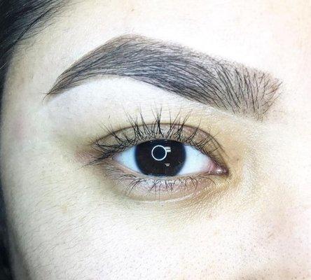 Lash Lift, Eyebrow Sculpting & Tint