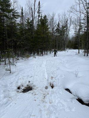 Ungroomed Upper Sand Pasture - very tricky and wet