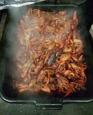 Hot boiled seafood. Dine in or carry out